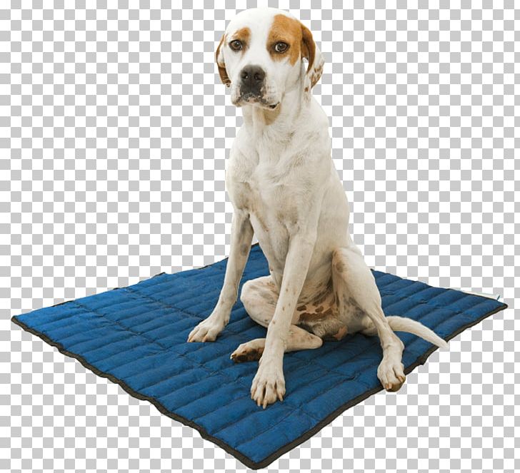 Dog Blue Carpet Beslist.nl Kerchief PNG, Clipart, Animals, Bed, Beslistnl, Blue, Carpet Free PNG Download