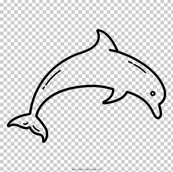 Dolphin Drawing Coloring Book Black And White PNG, Clipart, Animals, Artwork, Automotive Design, Beak, Black And White Free PNG Download