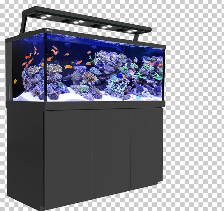 Red Sea Reef Aquarium Coral Reef PNG, Clipart, Aquarium, Aquarium Lighting, Aquariums, Artificial Reef, Cobalt Blue Free PNG Download