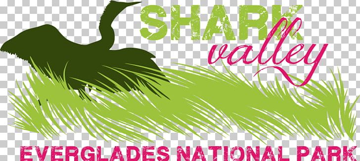 The Everglades: River Of Grass Shark Valley Shark River Miami PNG, Clipart, Advertising, Brand, Ecosystem, Everglades, Everglades National Park Free PNG Download