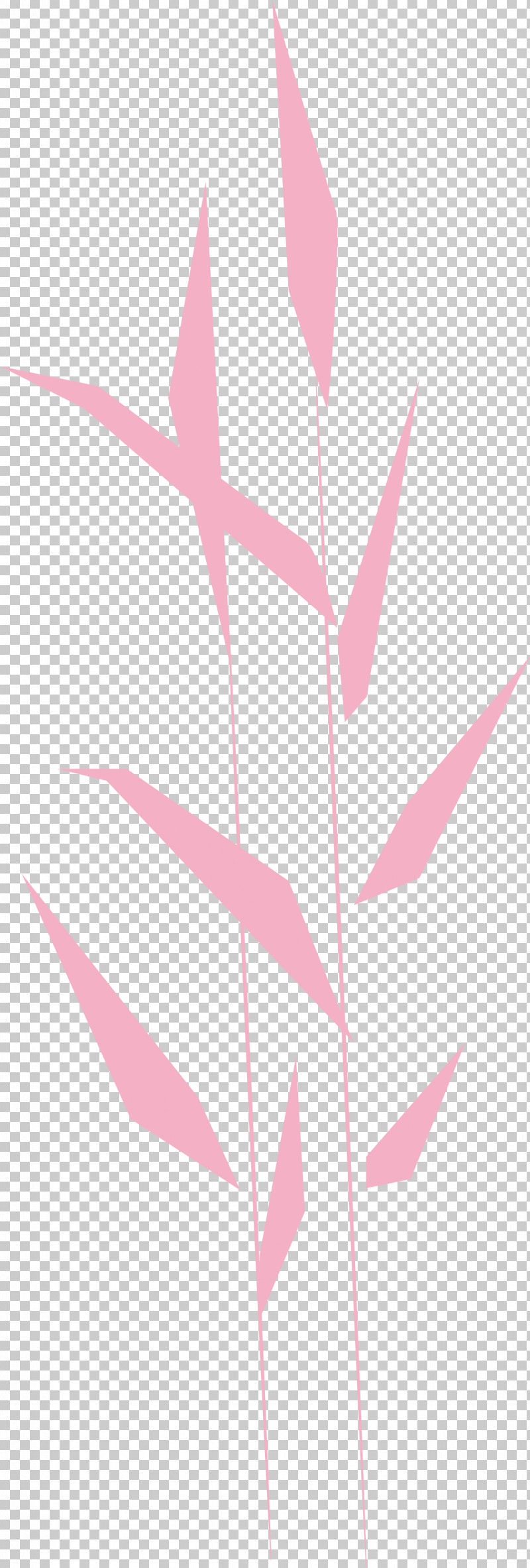 Angle Line Pattern Pink M M-tree PNG, Clipart, Angle, Leaf, Line, Meter, Mtree Free PNG Download