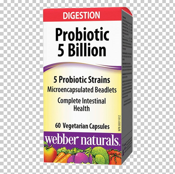 Dietary Supplement Probiotic Lactobacillus Acidophilus Health Gastrointestinal Tract PNG, Clipart, Bacteria, Dietary Supplement, Digestion, Gastrointestinal Tract, Gut Flora Free PNG Download