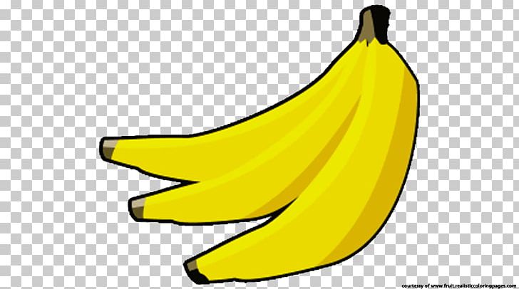 Latundan Banana Pisang Goreng Muffin PNG, Clipart, Apple, Auglis, Banana, Banana Clipart, Banana Family Free PNG Download
