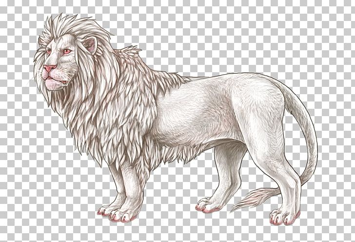 Lion Big Cat Mammal PNG, Clipart, Albinism, Animals, Artwork, Big Cat, Big Cats Free PNG Download