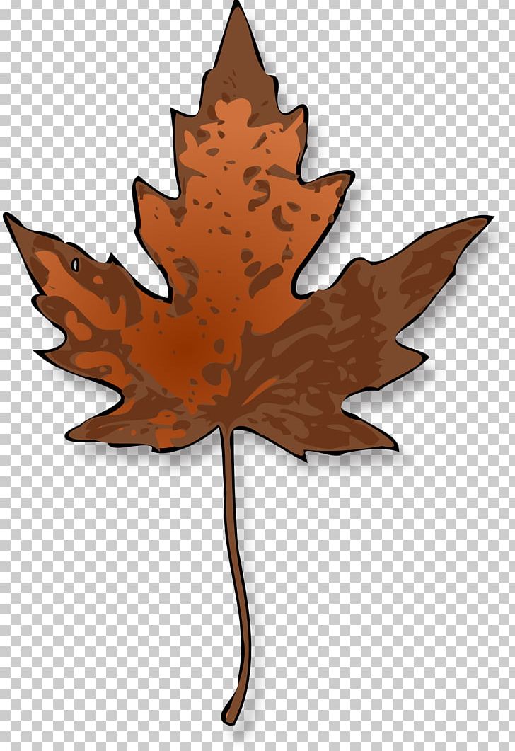 Sugar Maple Maple Leaf PNG, Clipart, Autumn, Autumn Leaf Color, Computer Icons, Drawing, Leaf Free PNG Download