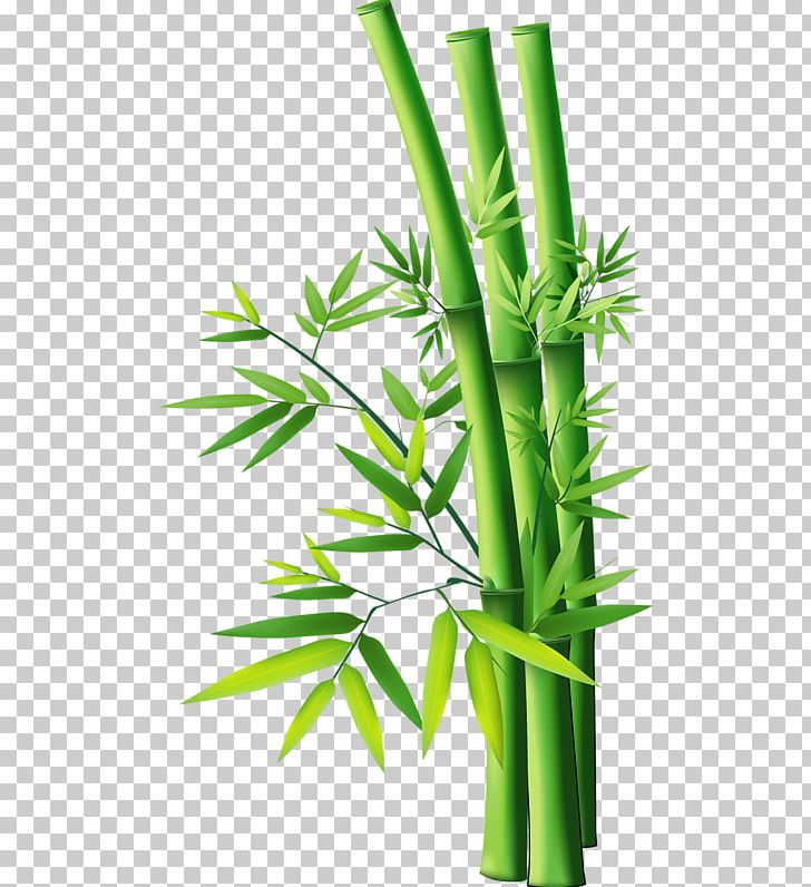 Tropical Woody Bamboos PNG, Clipart, Bamboo, Bamboo 19 0 1, Bamboo Painting, Bamboos, Clip Art Free PNG Download
