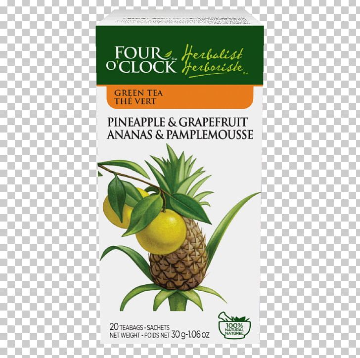 Herbal Tea Food Detoxification PNG, Clipart, Ananas, Artichoke, Caffeine, Cinnamon Tea, Detoxification Free PNG Download