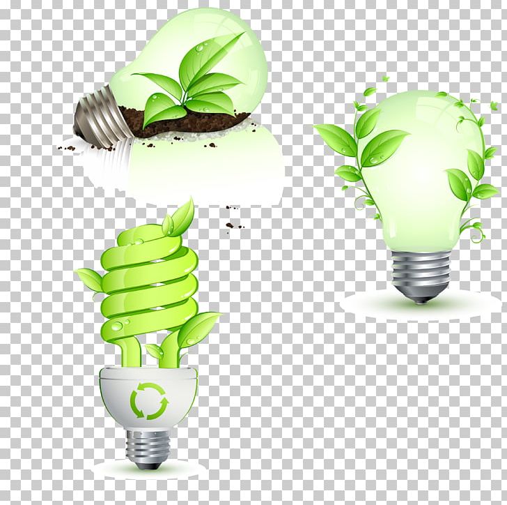 Incandescent Light Bulb Energy Conservation Lighting PNG, Clipart, Banana Leaves, Consumption, Efficient Energy Use, Electricity, Energy Saving Free PNG Download