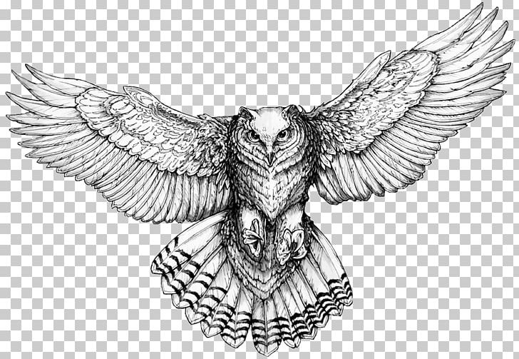 Owl Drawings For Tattoos Drawings For Tattoos Flash PNG, Clipart, Art, Artwork, Barn Owl, Beak, Bird Free PNG Download