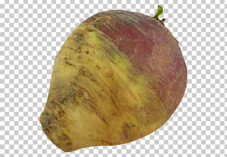 Rutabaga Root Vegetables Turnip PNG, Clipart, Brassica, Brassica Oleracea, Cabbage, Chinese Cabbage, Food Free PNG Download