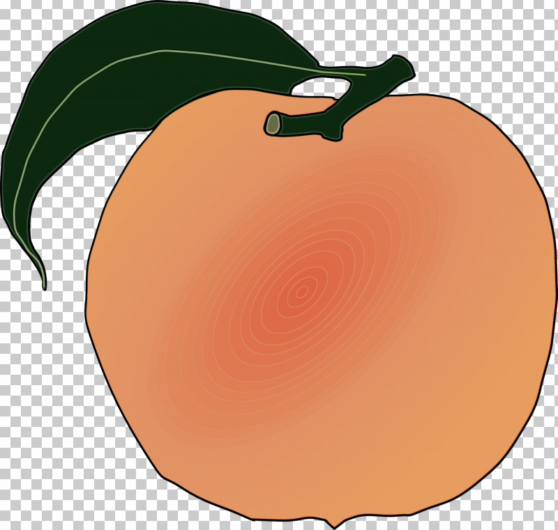 Apple Peach Computer Apple PNG, Clipart, Apple, Computer, Fruit, Paint, Peach Free PNG Download