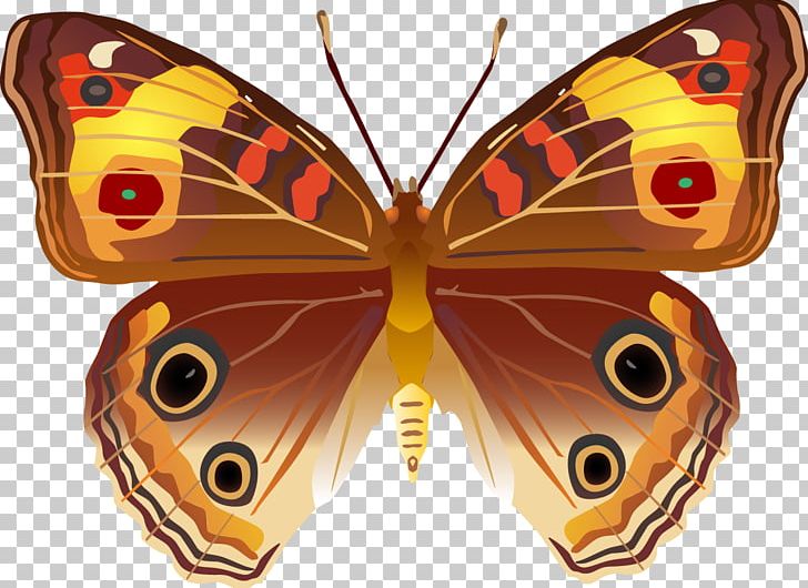 Butterfly Insect Invertebrate Bird Moth PNG, Clipart, Animal, Arthropod, Bird, Brush Footed Butterfly, Butterflies And Moths Free PNG Download
