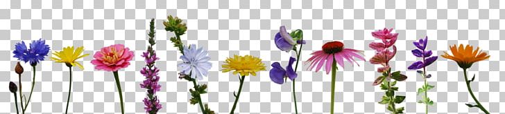 Calendula Officinalis Flower Bouquet Zinnia Wildflower PNG, Clipart, Calendula Officinalis, Cicek, Cornflower, Cut Flowers, Flora Free PNG Download