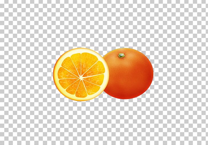 Clementine Computer Icons Mandarin Orange Tangerine Blood Orange PNG, Clipart, Bitter Orange, Blood Orange, Citric Acid, Citrus, Clementine Free PNG Download