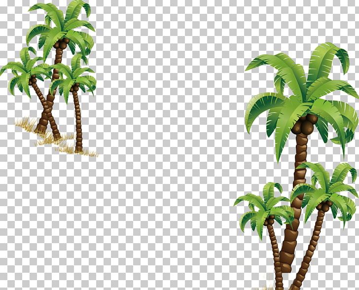 Coconut Tree Computer File PNG, Clipart, Arecaceae, Cartoon, Christmas Tree, Coconut, Coconut Tree Free PNG Download