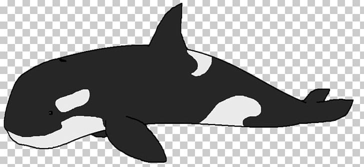 The Killer Whale Cetacea PNG, Clipart, Beluga Whale, Black, Black And White, Blue Whale, Carnivoran Free PNG Download