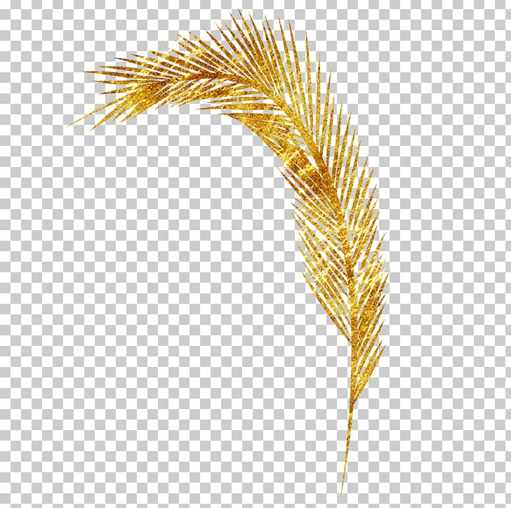 Yellow Commodity Grasses Family Pattern PNG, Clipart, Cartoon Wheat, Commodity, Family, Feather, Golden Free PNG Download