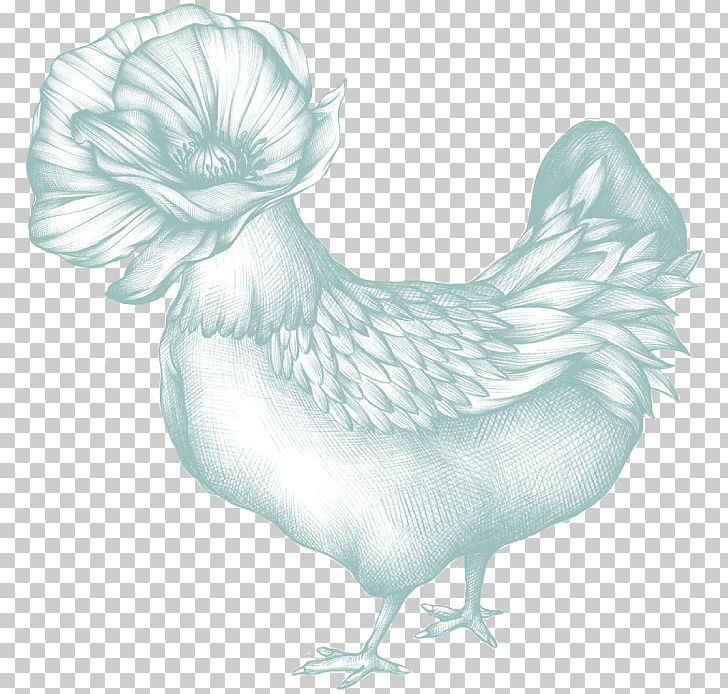 Chicken Bird Phasianidae Fowl Poultry PNG, Clipart, Animal, Animals, Beak, Bird, Chicken Free PNG Download