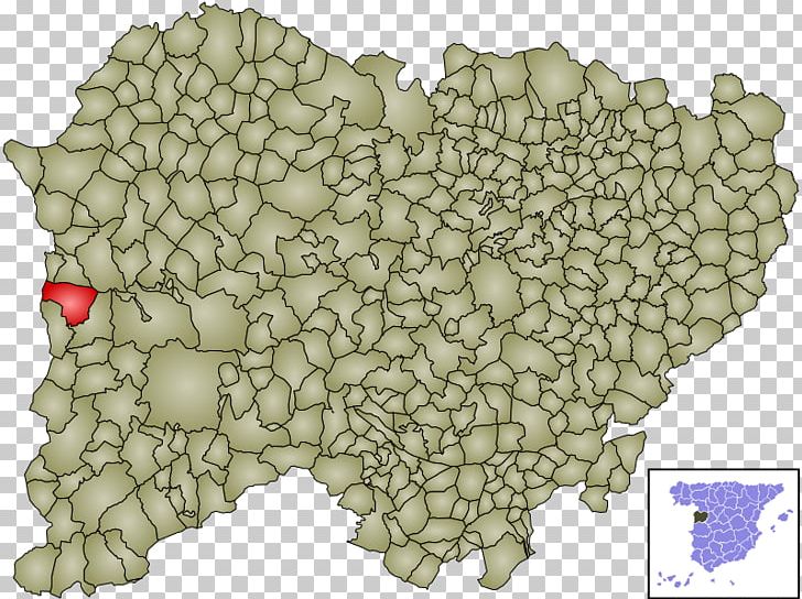 Ciudad Rodrigo Ledesma PNG, Clipart, Comarca, Grass, Leaf, Map, Organism Free PNG Download