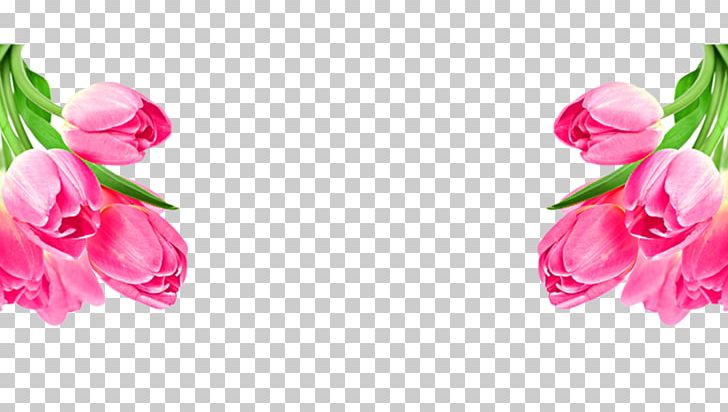 Garden Roses Poster Tulip PNG, Clipart, Artificial Flower, Blossom, Creative, Cut Flowers, Day Free PNG Download