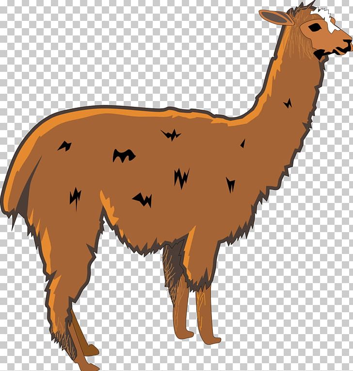Llama Alpaca PNG, Clipart, Alpaca, Camel Like Mammal, Cartoon, Cattle Like Mammal, Clip Art Free PNG Download
