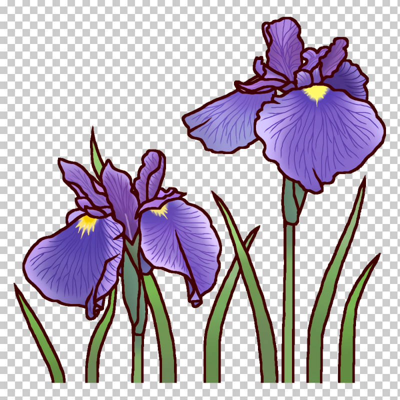 Floral Design PNG, Clipart, Cartoon, Cut Flowers, Floral Design, Flower, Lily Free PNG Download