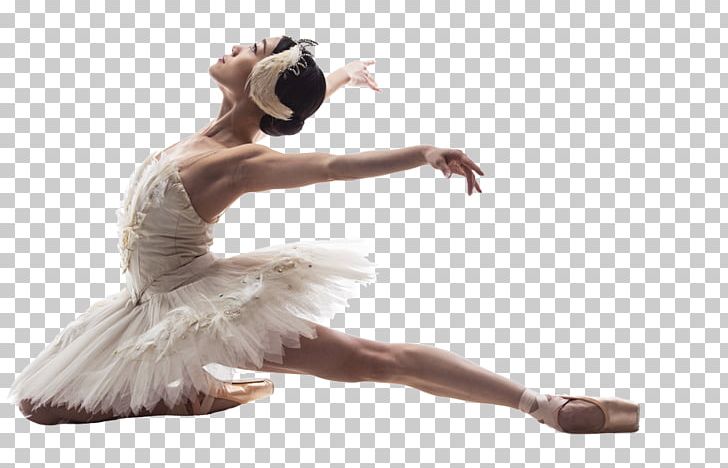 Ballet Dancer Ballet Dancer Imperial Society Of Teachers Of Dancing Modern Dance PNG, Clipart, Ballet, Ballet Dancer, Ballet Tutu, Choreographer, Choreography Free PNG Download