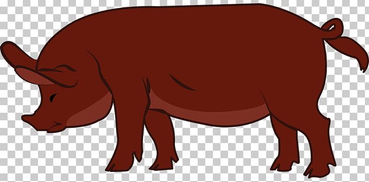 Duroc Pig Pig's Ear Livestock PNG, Clipart, Bow, Carnivoran, Cartoon, Dog Like Mammal, Fauna Free PNG Download