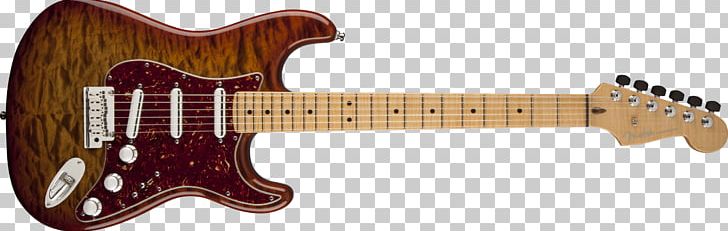Fender Stratocaster Squier Fender Musical Instruments Corporation Fingerboard Guitar PNG, Clipart, Acoustic Electric Guitar, Anima, Guitar Accessory, Musical Instrument, Musical Instrument Accessory Free PNG Download