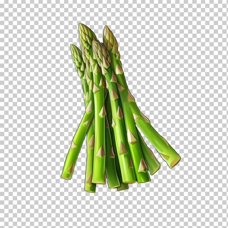 Asparagus - Fresh Green Asparagus Stalks PNG