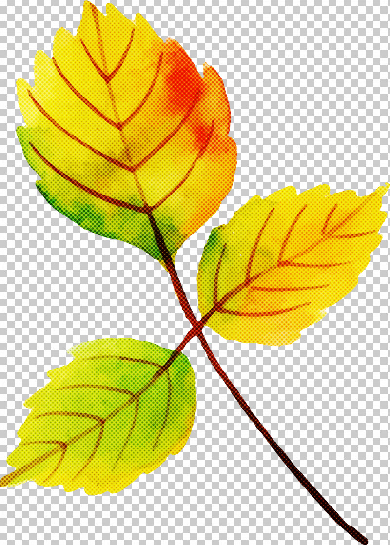 Autumn Leaf Colorful Leaf PNG, Clipart, Autumn Leaf, Autumn Leafautumn Leaf, Colorful Leaf, Dandelion, Flower Free PNG Download