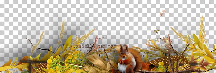 Squirrel Illustration PNG, Clipart, Animals, Black And White, Bordure, Branches, Branches And Leaves Free PNG Download