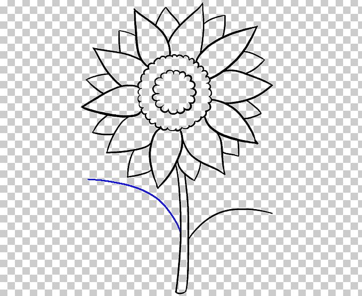Drawing Common Sunflower Art Sketch PNG, Clipart, Art, Art Museum, Artwork, Black And White, Circle Free PNG Download
