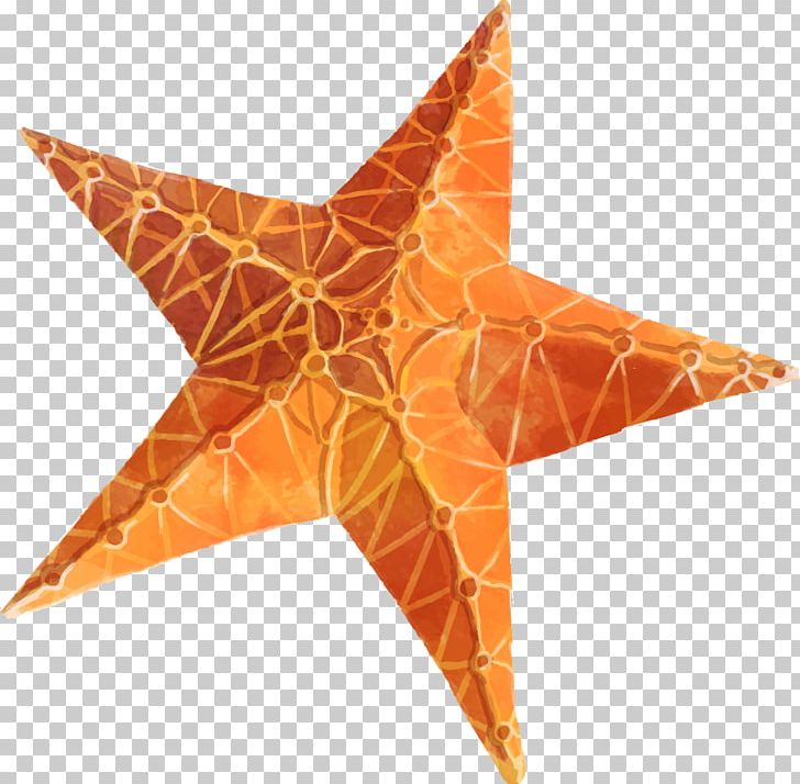 Starfish Star Polygons In Art And Culture PNG, Clipart, Animals, Computer Icons, Fivepointed Star, Marine Invertebrates, Orange Free PNG Download
