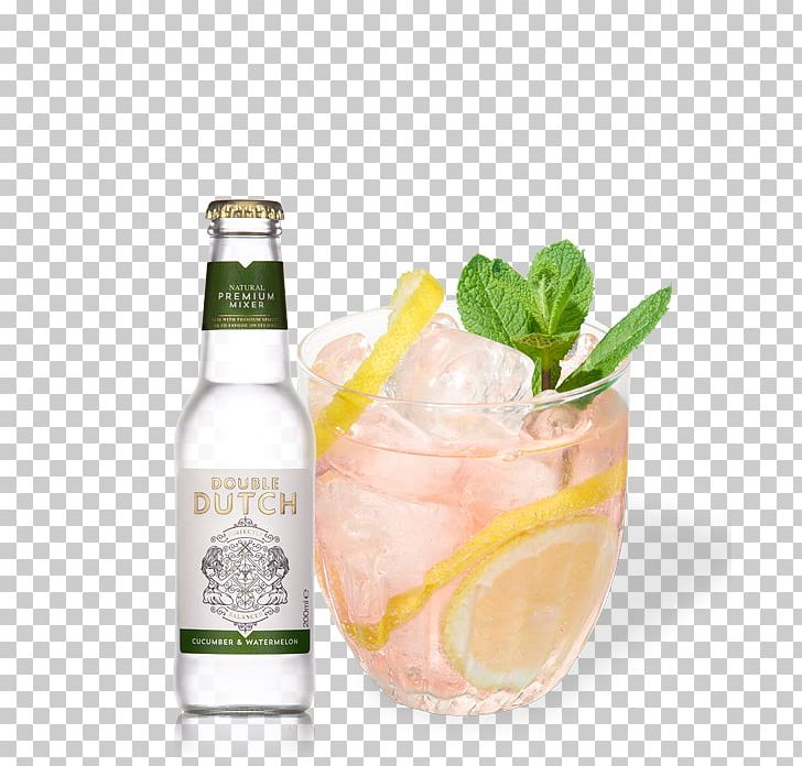 Tonic Water Fizzy Drinks Drink Mixer Gin And Tonic PNG, Clipart, Bacardi Cocktail, Carbonated Water, Cocktail, Cocktail Garnish, Cran Free PNG Download