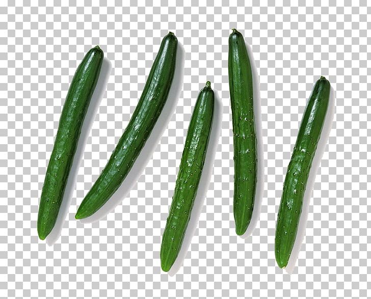 Cucumber Tsukemono Vegetable Food Pumpkin PNG, Clipart, Chili, Chili Pepper, Chili Peppers, Cucumber, Eggplant Free PNG Download