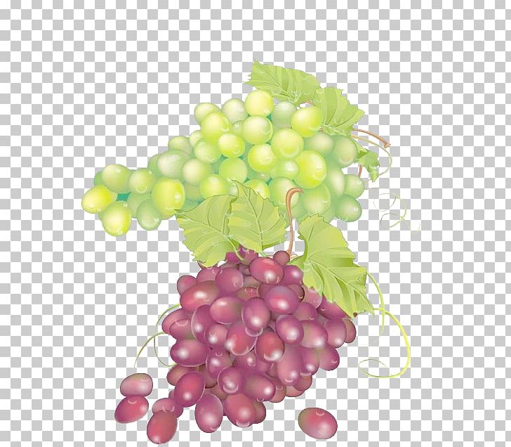 Grape Juice Seedless Fruit PNG, Clipart, Background Green, Download, Drawing, Encapsulated Postscript, Food Free PNG Download