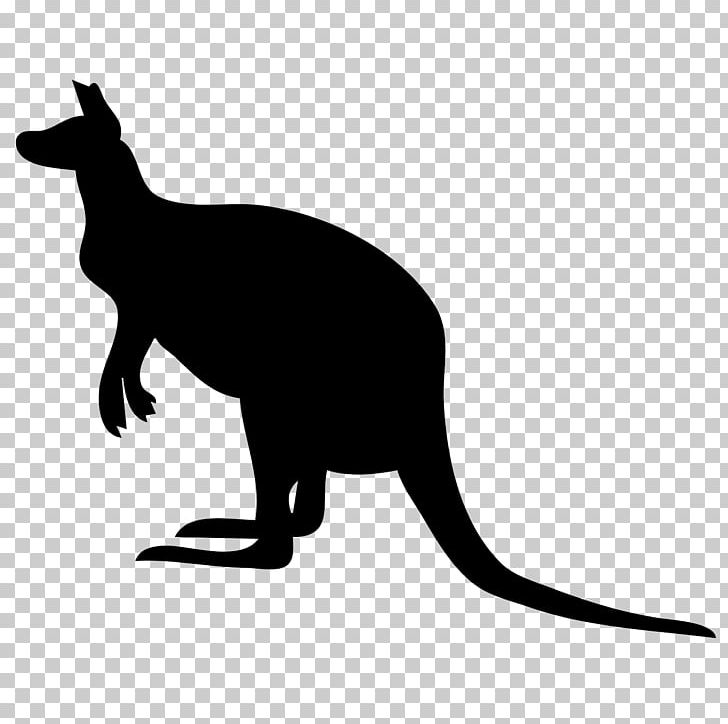 Kangaroo Wallaby Reserve Computer Icons PNG, Clipart, Animals, Black And White, Boxing Kangaroo, Carnivoran, Cat Free PNG Download