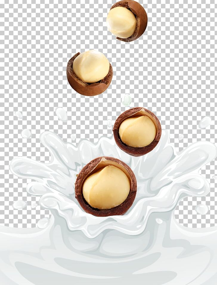 Praline Milk Macadamia Nut PNG, Clipart, Auglis, Dessert, Download, Fall, Falling Free PNG Download