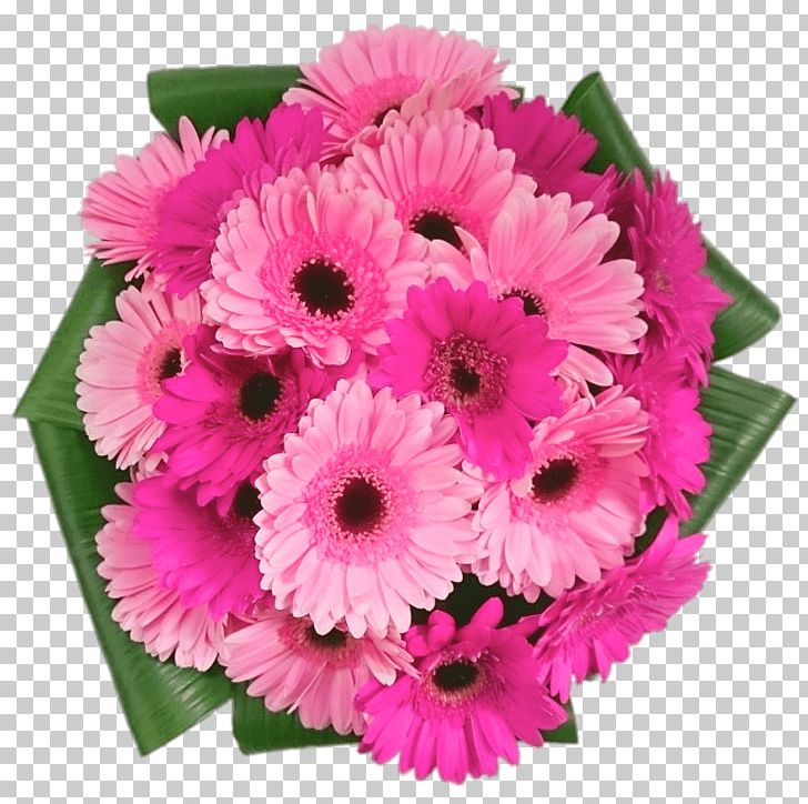 Transvaal Daisy Cut Flowers Flower Bouquet Floral Design PNG, Clipart, Annual Plant, Artificial Flower, Aster, Cerise, Chrysanthemum Free PNG Download