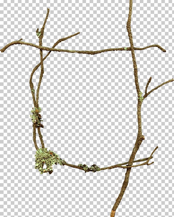 Branch Twig PNG, Clipart, Artworks, Branch, Nature, Photography, Picture Frames Free PNG Download