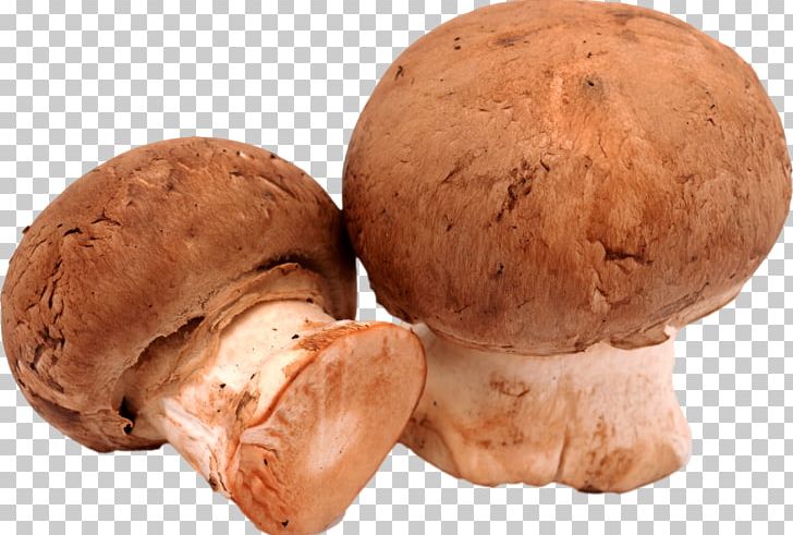 Common Mushroom Photography PNG, Clipart, 123rf, Bread, Common Mushroom, Fresco, Ingredient Free PNG Download