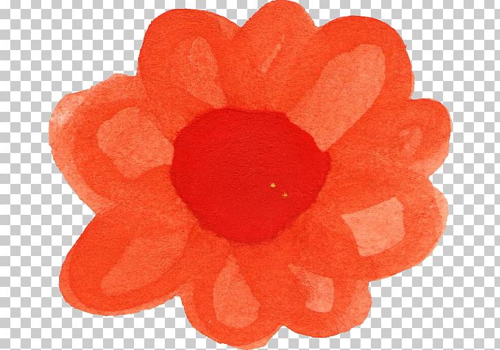 Flower Petal Watercolor Painting PNG, Clipart, Com, Download, Flower, Nature, Orange Free PNG Download