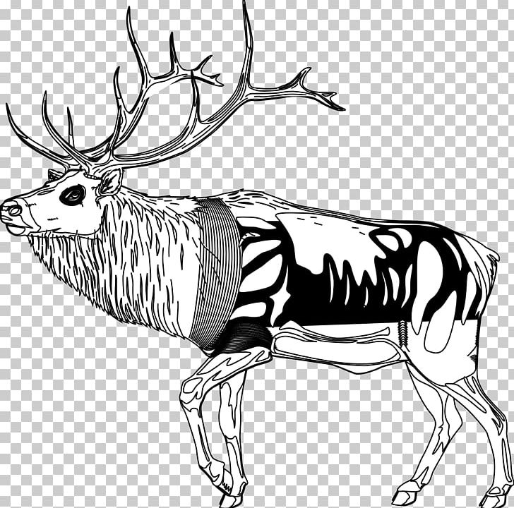 Reindeer Black And White Line Art PNG, Clipart, Animal, Animal Figure, Antler, Artwork, Black And White Free PNG Download