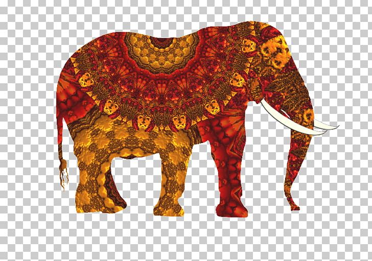 Wedding Invitation Indian Elephant Elephantidae Convite PNG, Clipart, African Elephant, Asian Elephant, Bride, Convite, Craft Free PNG Download