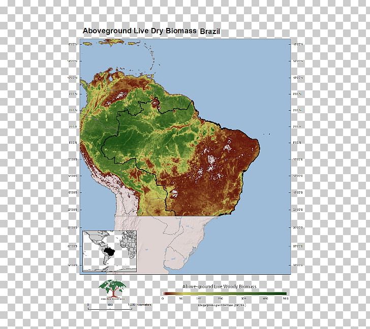 Map Biomass Tropical And Subtropical Moist Broadleaf Forests Energy PNG, Clipart, Area, Biomass, Carbon, Ecoregion, Energy Free PNG Download