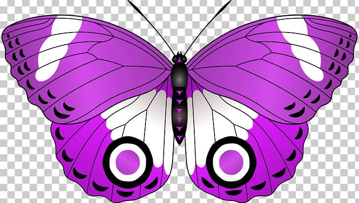 Butterfly Lilac Red PNG, Clipart, Arthropod, Brush Footed Butterfly, Butterflies And Moths, Butterfly, Color Free PNG Download