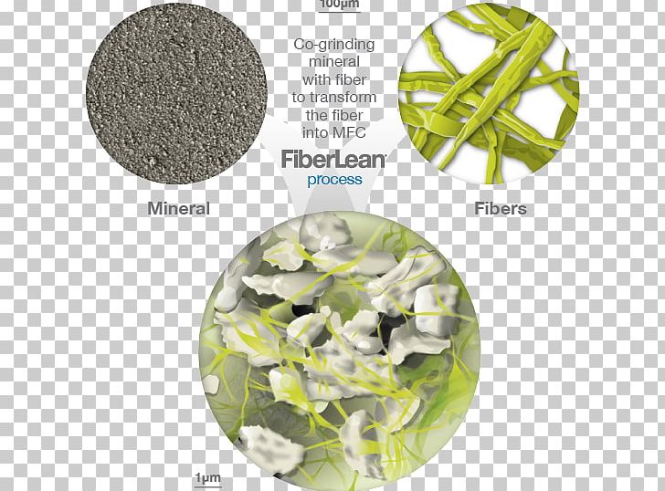 FiberLean® Technologies Ltd Plastic Keyword Research Film Producer Cellulose PNG, Clipart, Calcium, Calcium Carbonate, Carbonate, Cellulose, Fiber Laser Free PNG Download