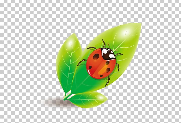 Ladybird Euclidean PNG, Clipart, Encapsulated Postscript, Environmental Protection, Fall Leaves, Fruit, Green Tea Free PNG Download