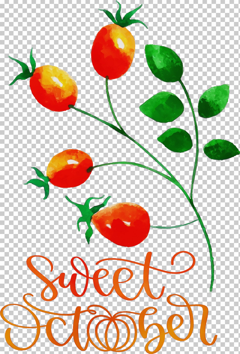 Tomato PNG, Clipart, Autumn, Fall, Flower, Fruit, Local Food Free PNG Download